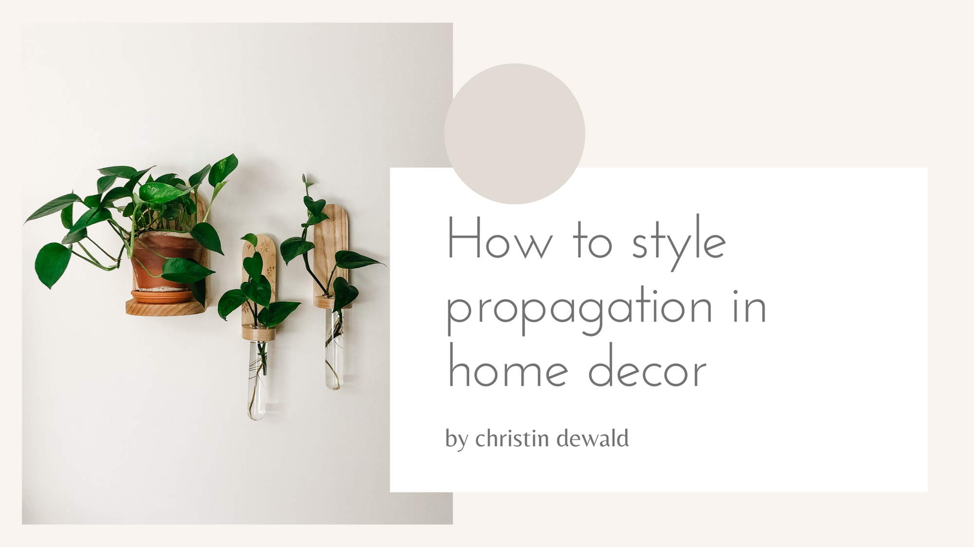 How to Style Propagation Wall Vases in your home decor