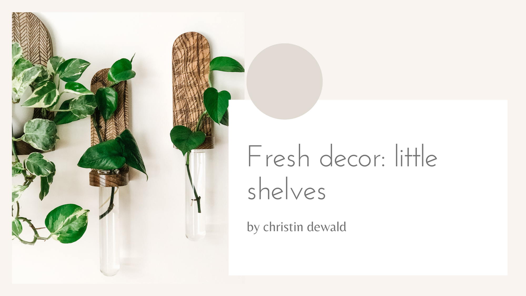 New! Little Shelf Co Collection