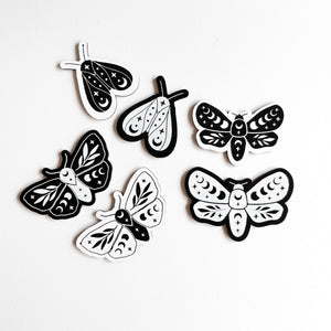 a selection of moths cut out and painted in alternating black and white patterns on a white background