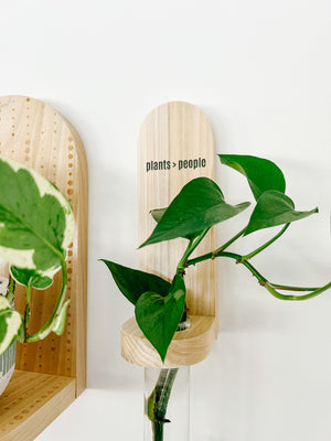 Propagation Little Shelf - Plants > People Natural (Sage or Dark Green)