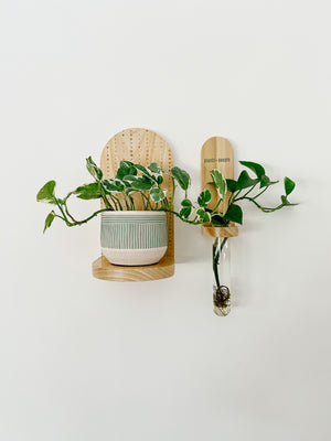 Propagation Little Shelf - Plants > People Natural (Sage or Dark Green)